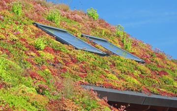 Copt Hewick living roof systems